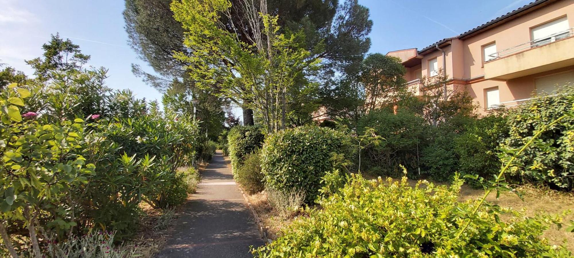 דירות טולוז Les Elfes - Avec Entree Autonome, Clim Neuve, Jardin, Parking Prive & Gourmandises Offertes ! - מראה חיצוני תמונה