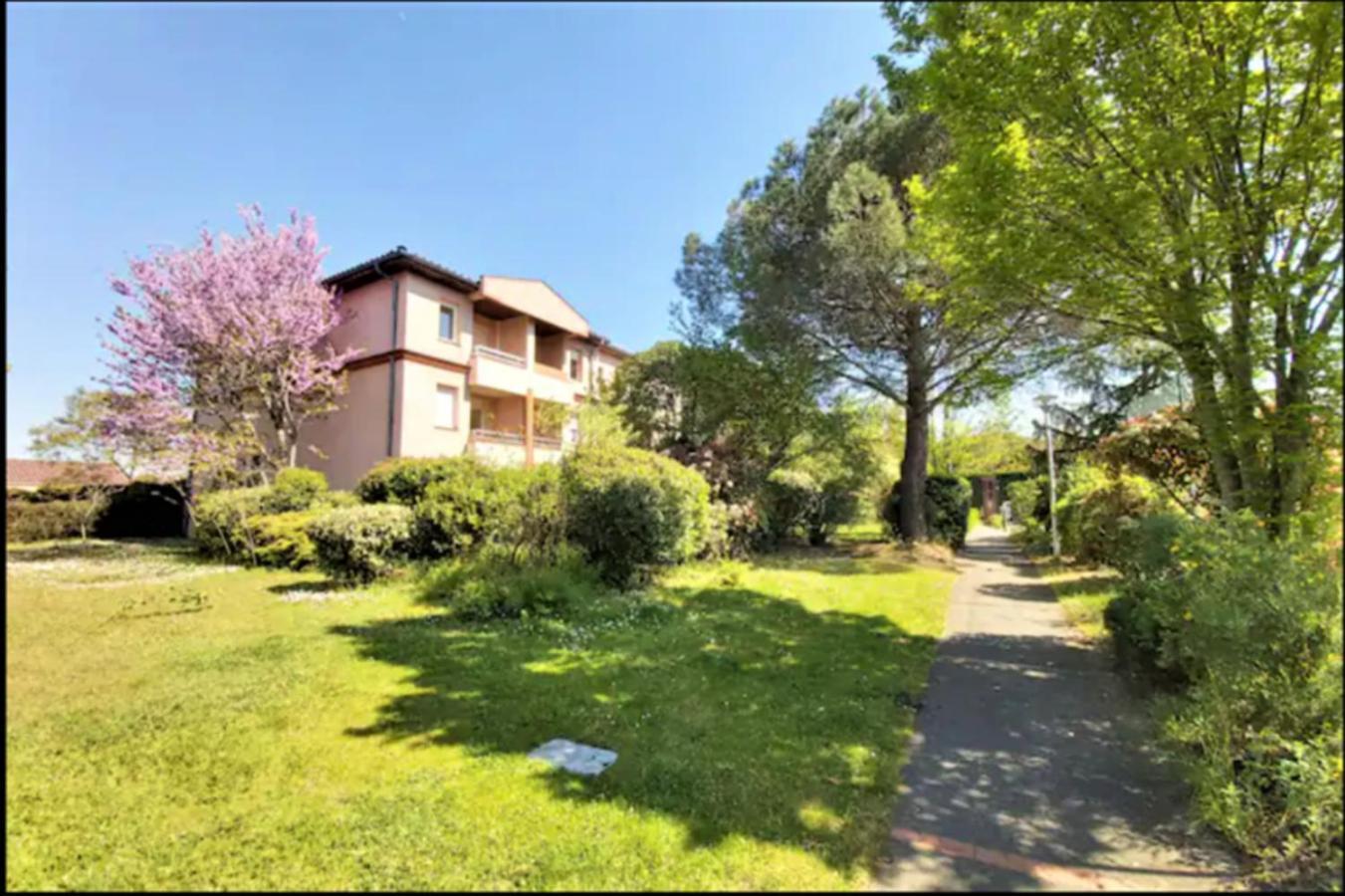 דירות טולוז Les Elfes - Avec Entree Autonome, Clim Neuve, Jardin, Parking Prive & Gourmandises Offertes ! - מראה חיצוני תמונה